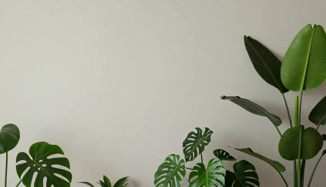 商品定制中终端商户的常见误区分析